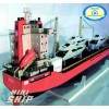 DM Containerschiff Container Mehrzweck Frachter Feeder ANNAMARIE für Modellbahn H0 HO