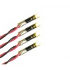 DIGIKEIJS DR60045 warmweiße LED-Modul (4 Stück)